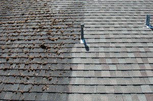 Halifax Roof Cleaning